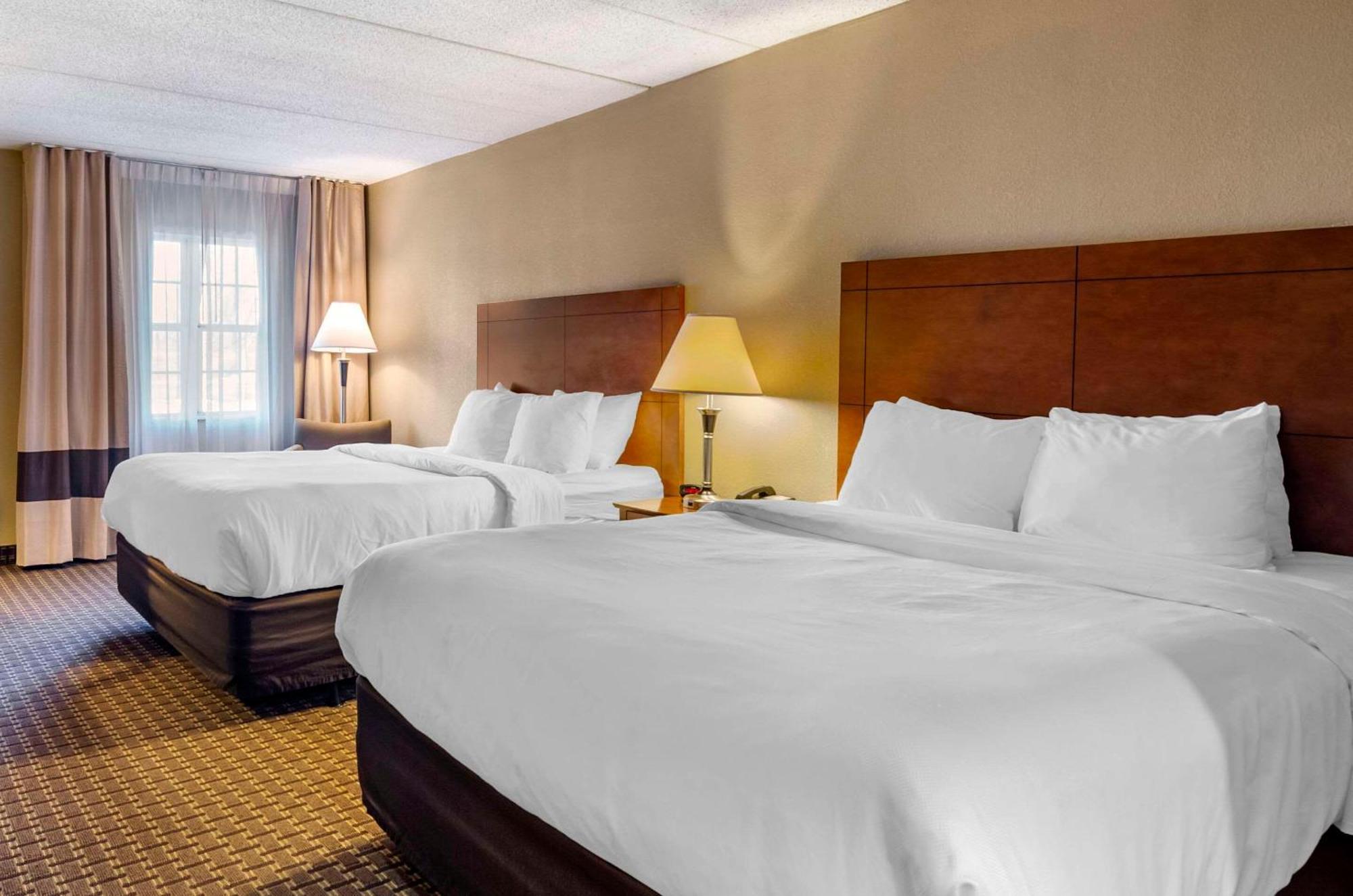 Comfort Inn & Suites Raphine - Lexington Near I-81 And I-64 Exteriör bild