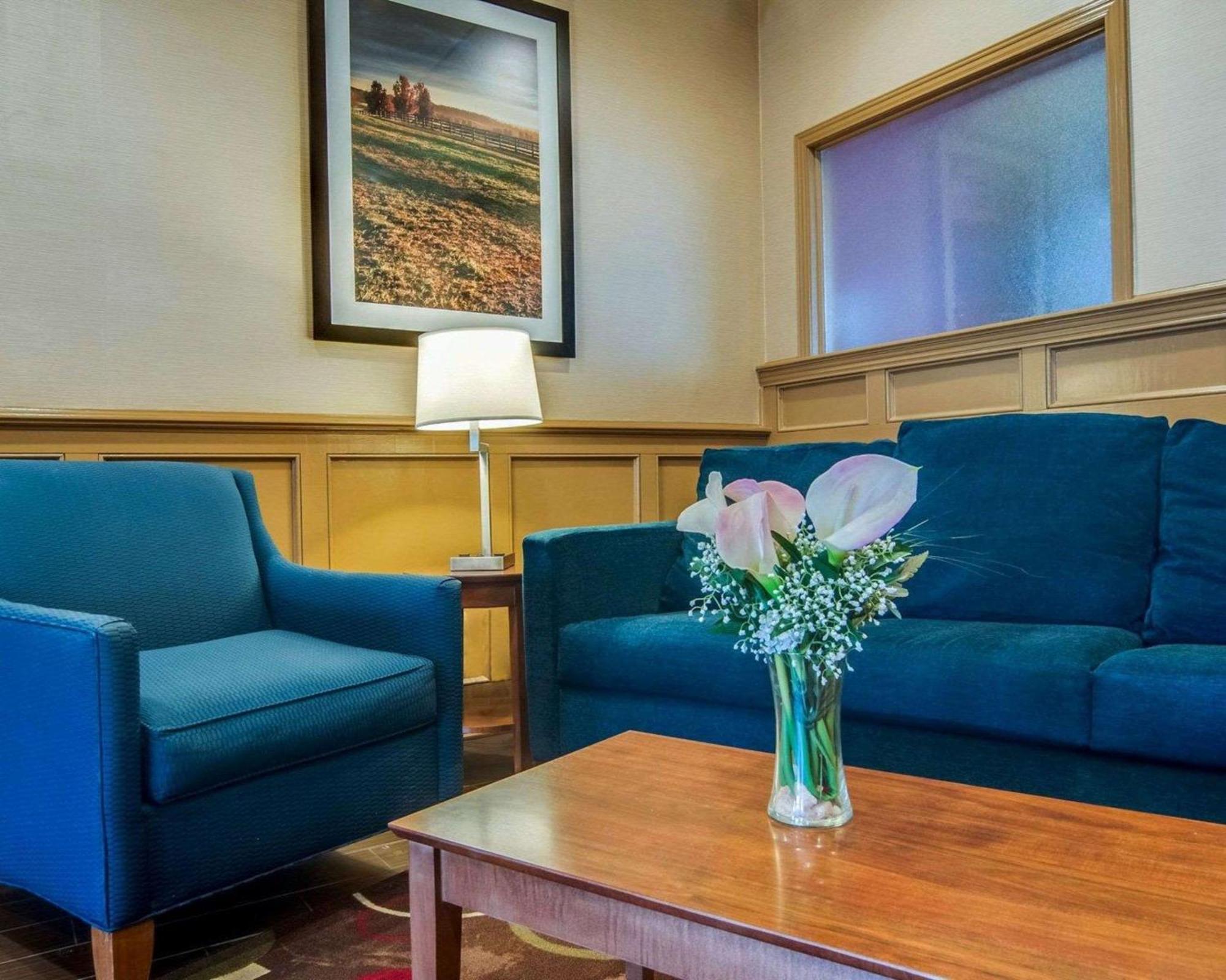 Comfort Inn & Suites Raphine - Lexington Near I-81 And I-64 Exteriör bild